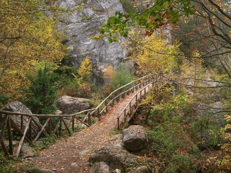 ENIPEAS_OLYMPUS_MT