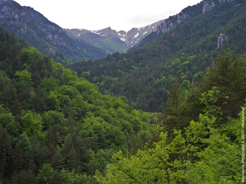 Macedonia_MtOlympos_1239_HKakarouhas