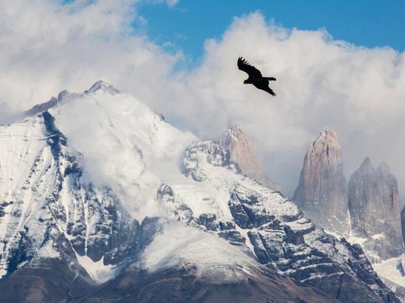 itinerary_lg_1273268_1080x810_Chile_Parque_Nacional_Torres_del_Paine