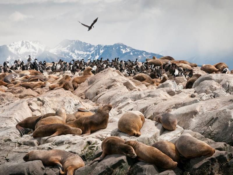 itinerary_lg_209043_1080x810_Beagle_Channel_Argentina