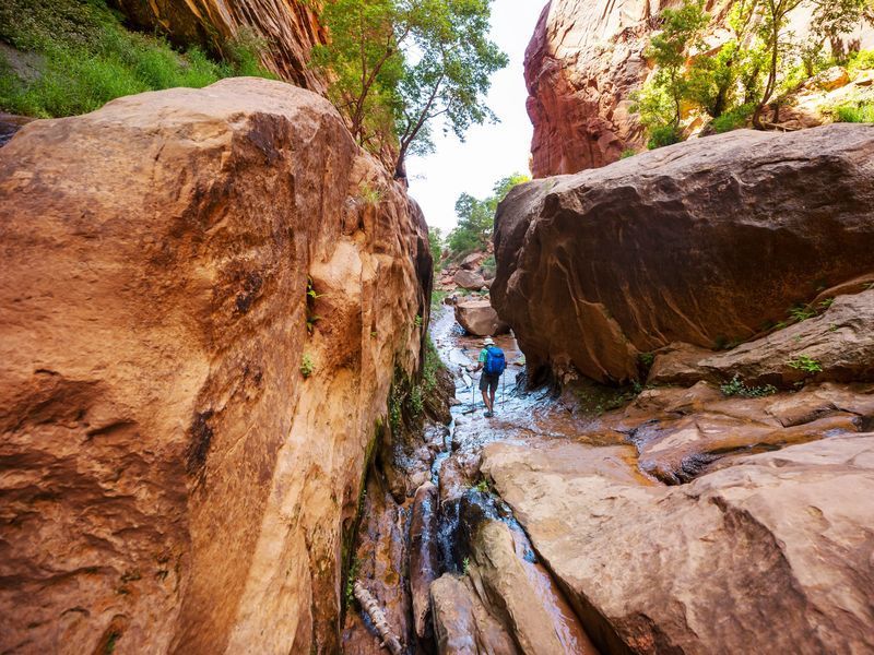 hike-in-canyon-2026-01-07-05-54-04-utc