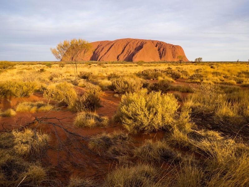 landscape-of-a-deserted-valley-on-the-background-o-2026-01-05-00-19-19-utc
