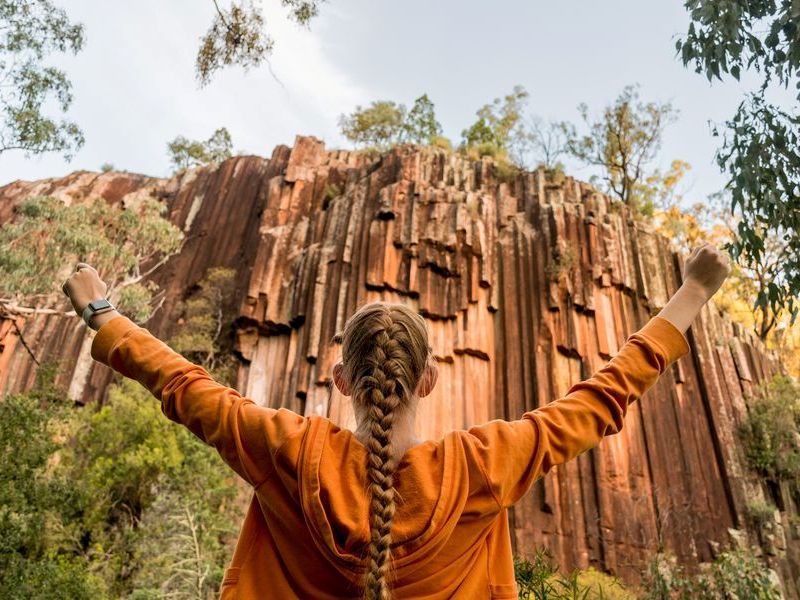 organ-piping-columnar-basalt-rock-formation-sawn-2026-01-06-10-42-49-utc