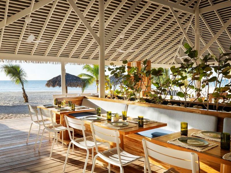 Travel_Advisor_Asset-BNG-Restaurant-Stella