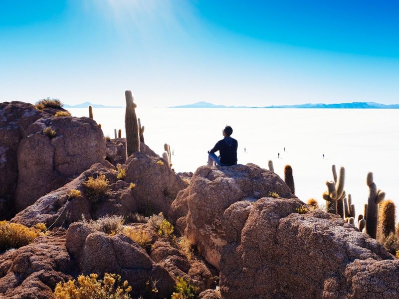 man-sitting-on-cactus-island-in-the-middle-of-uyun