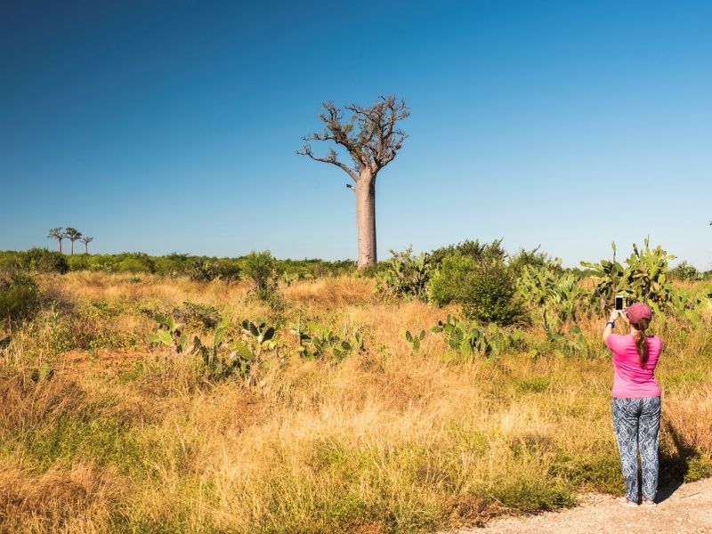 tourist-taking-a-photo-of-a-baobab-tree-ifaty-so