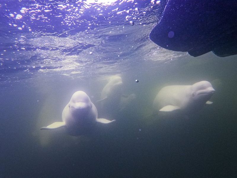 Colby_Spence_-_July_28_2024_0040650