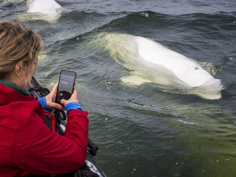 Colby_Spence_-_July_28_2024_8592