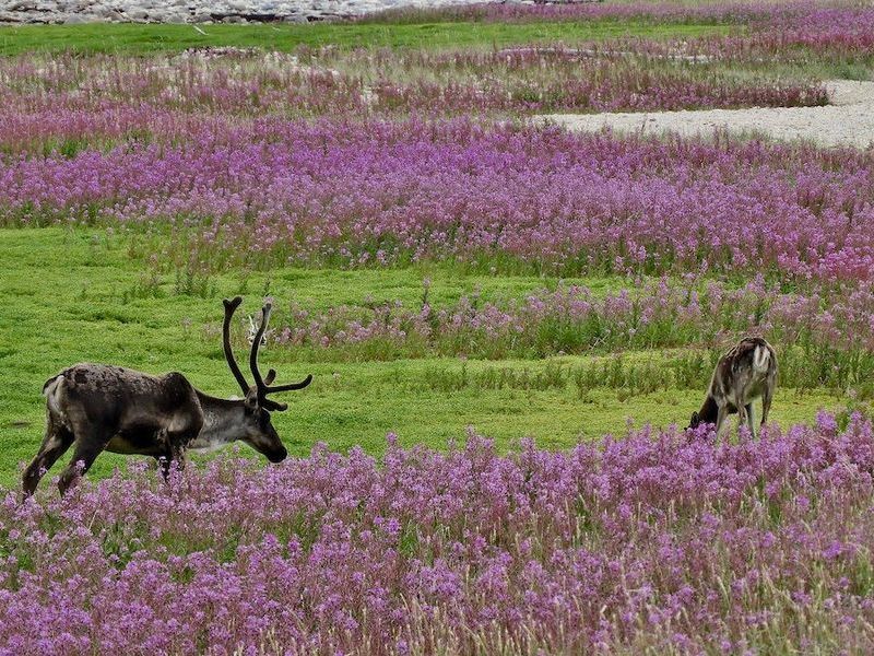 Jim_Baldwin_2018_38780995_10156415118020449_6328429122888400896