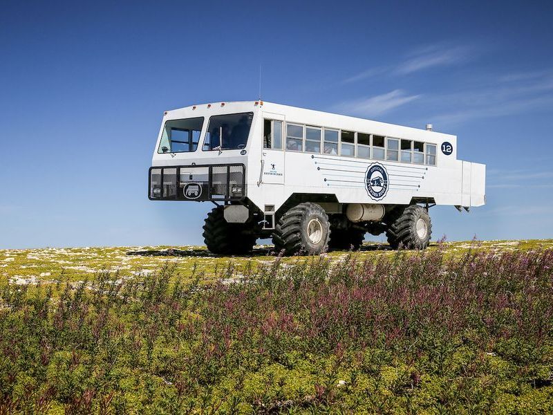 SummerBuggyPhoto-V3_smaller_5