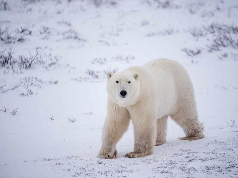 2020_Asset_Abby_Matheson_1199