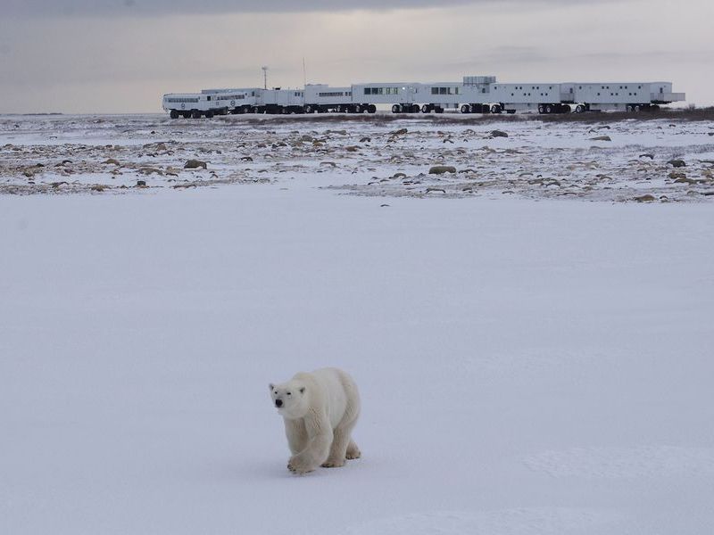 Neil_Mumby_Frontiers_North_Adventures_01_2