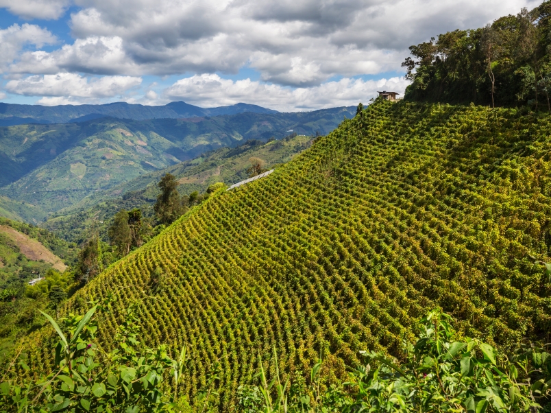 rural-landscapes-in-colombia