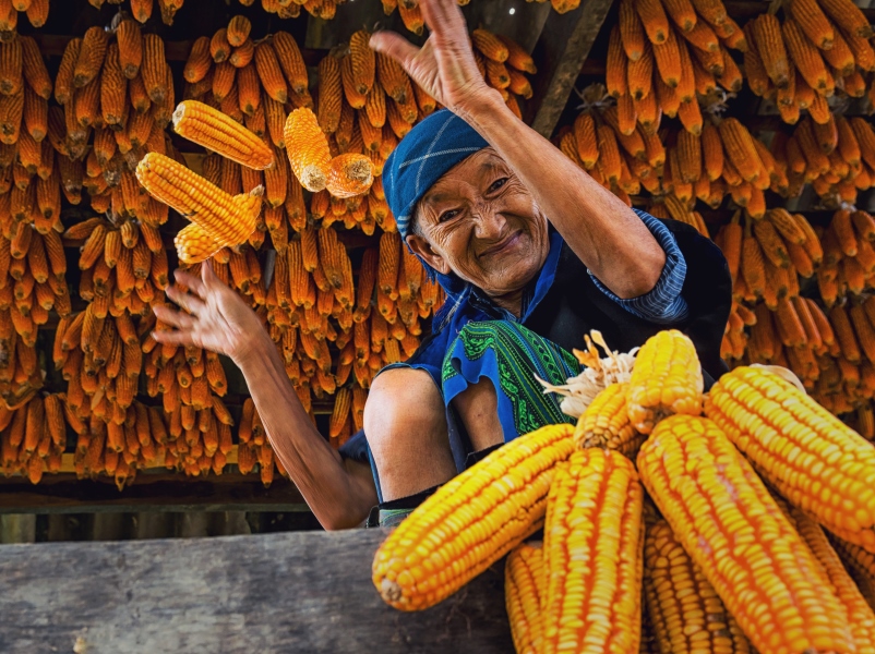 vietnamese-hmong-old