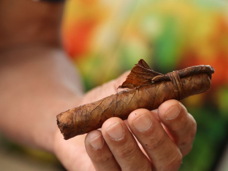 holding-a-hand-made-tobacco