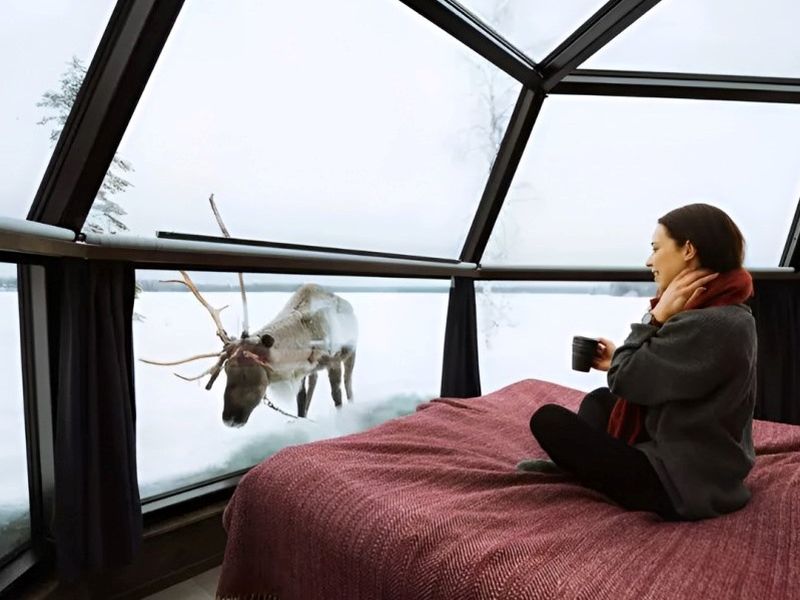 exclusive_ranua_resort_finland_3