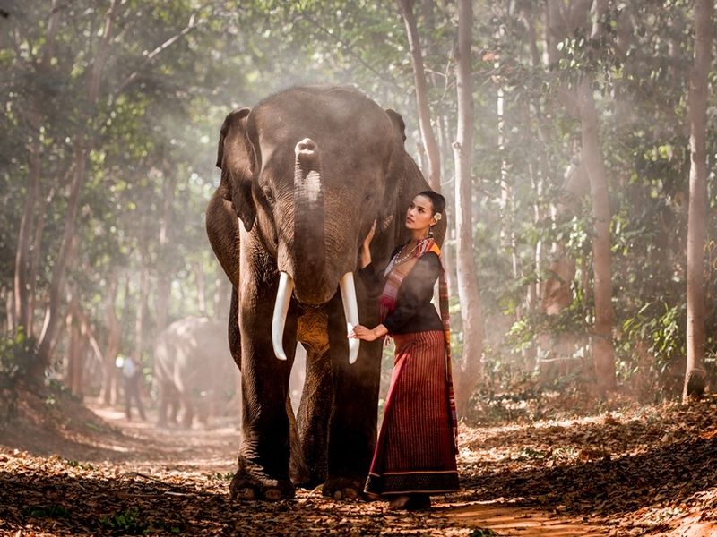 elephant-and-woman-in-thailand