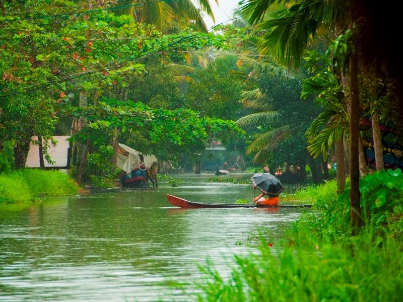 landscape-of-alleppey-backwaters-kerala-india