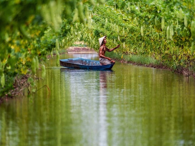 vietnamese-old-man-farmer