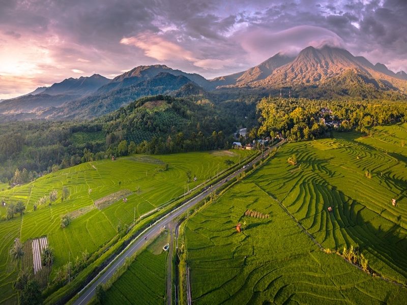 aerial-view-of-asia-in-indonesian-rice-fields