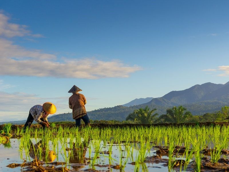 beautiful-morning-view-indonesia