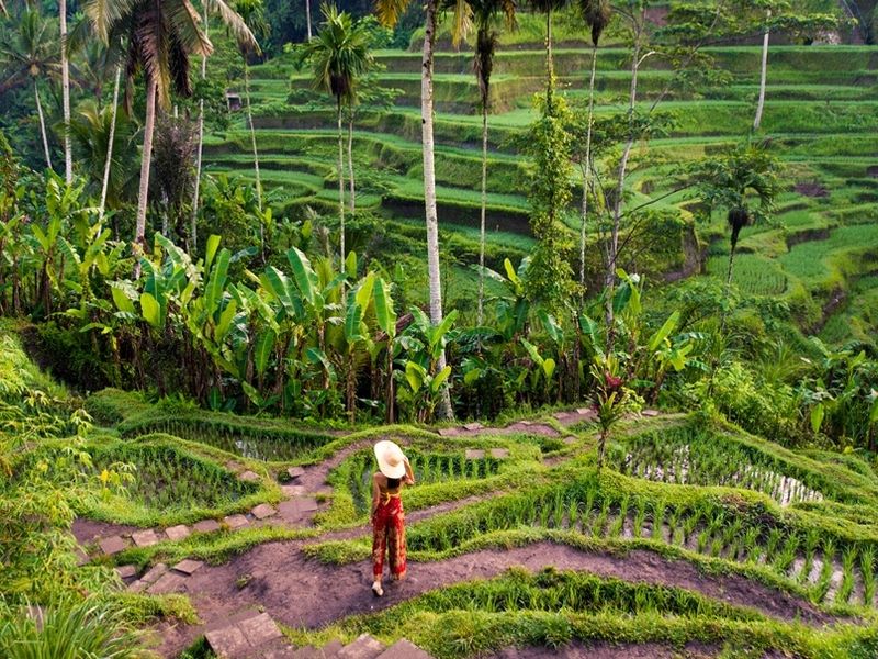 woman-at-tegalalang-rice-terrace-in-bali