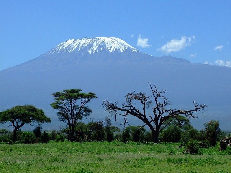 Safari-Kilimanjaro-Africa-Amboseli-Kenya-Mountain-1025146