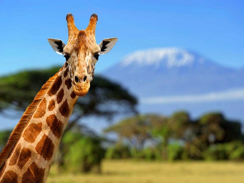 kenia_travel