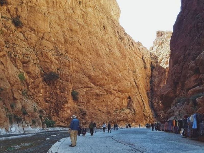 desert_safari_get_your_guide_5