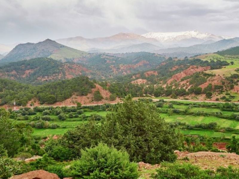 desert_safari_get_your_guide_7