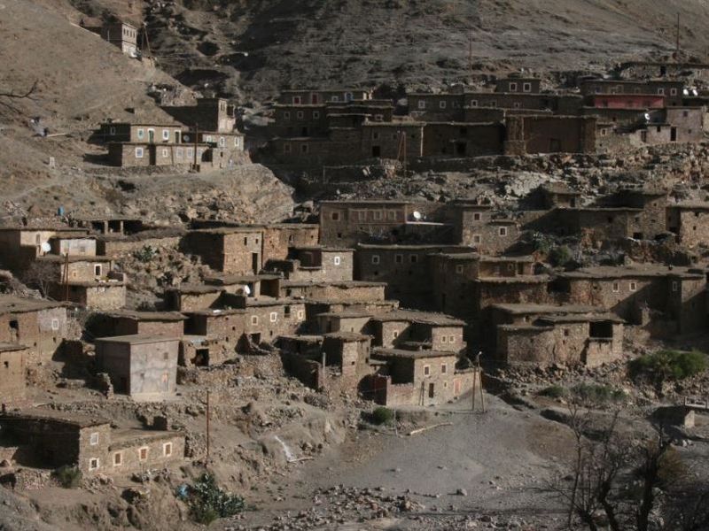 desert_safari_get_your_guide_9