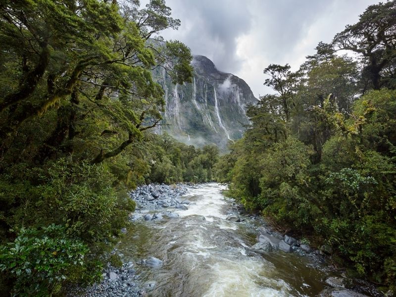 new-zealand-river