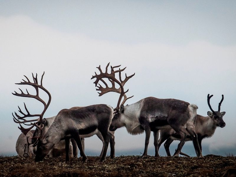 64bf903b43b36c1c090ff0d7_Photo_Roger_Brendhagen_-kopi