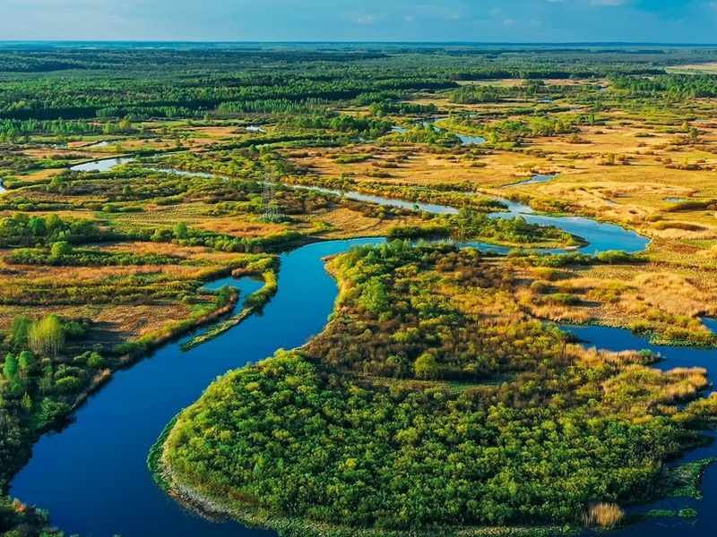 aerial-view-green-forest-woods-and-curved-river