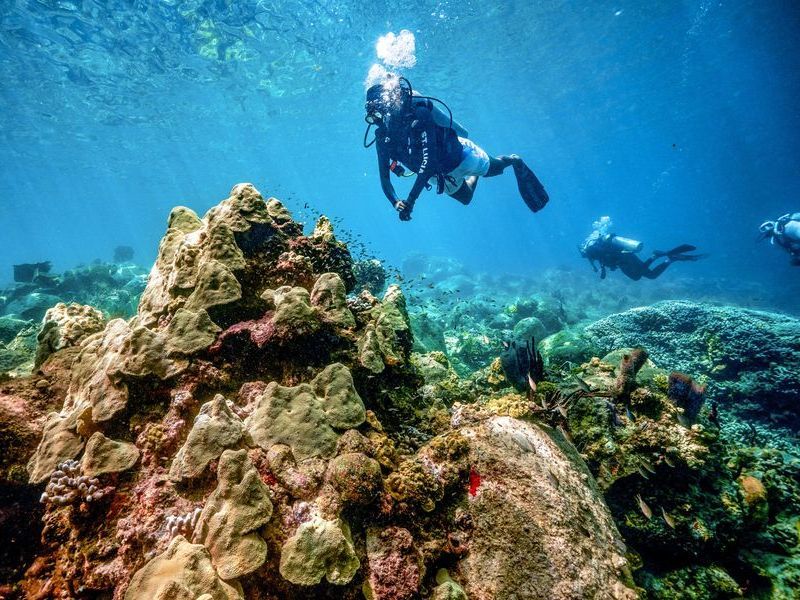 Travel_Advisor_Asset-Saint-Lucia-Scuba-PADI-Three-Divers-Over-Corals-4