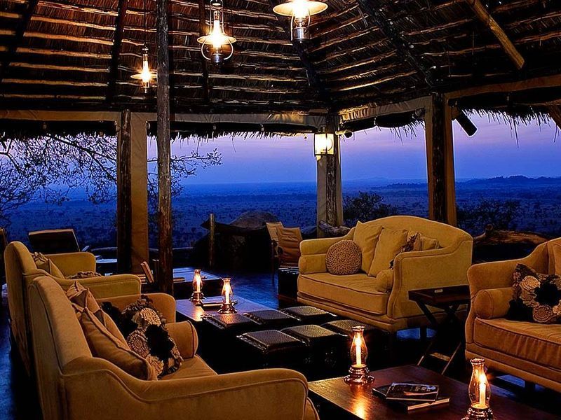 SerengetiPioneer---Lounge