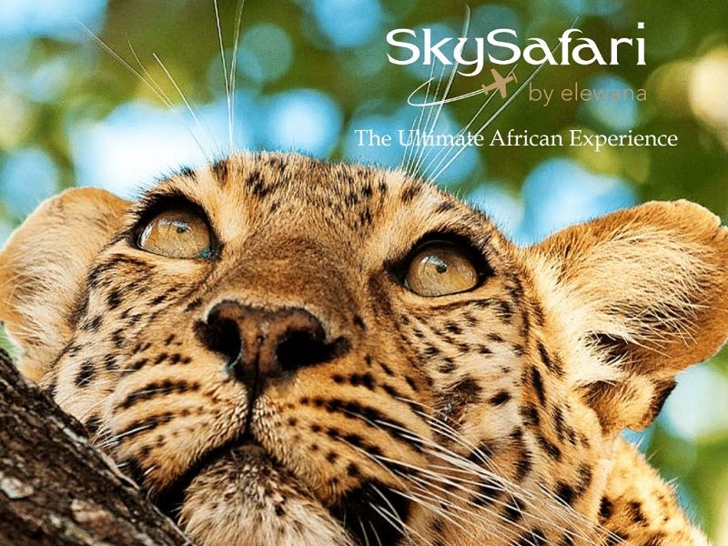 SkySafari_by_Elewana1