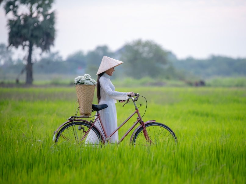 beautiful-vietnamese-woman-wearing-traditional