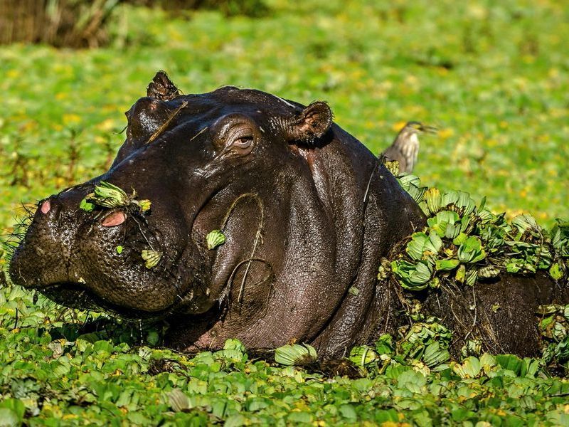 pexels insideportugal 26999550