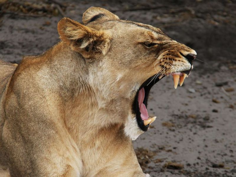 pexels mossapparel 33461784